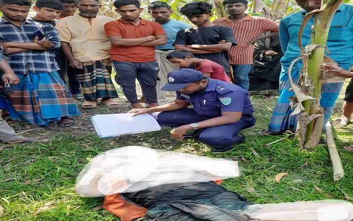 শায়েস্তাগঞ্জে ট্রান্সফরমার চু*রি করতে গিয়ে বি*দ্যুতায়িত হয়ে চোরের মৃ*ত্যু