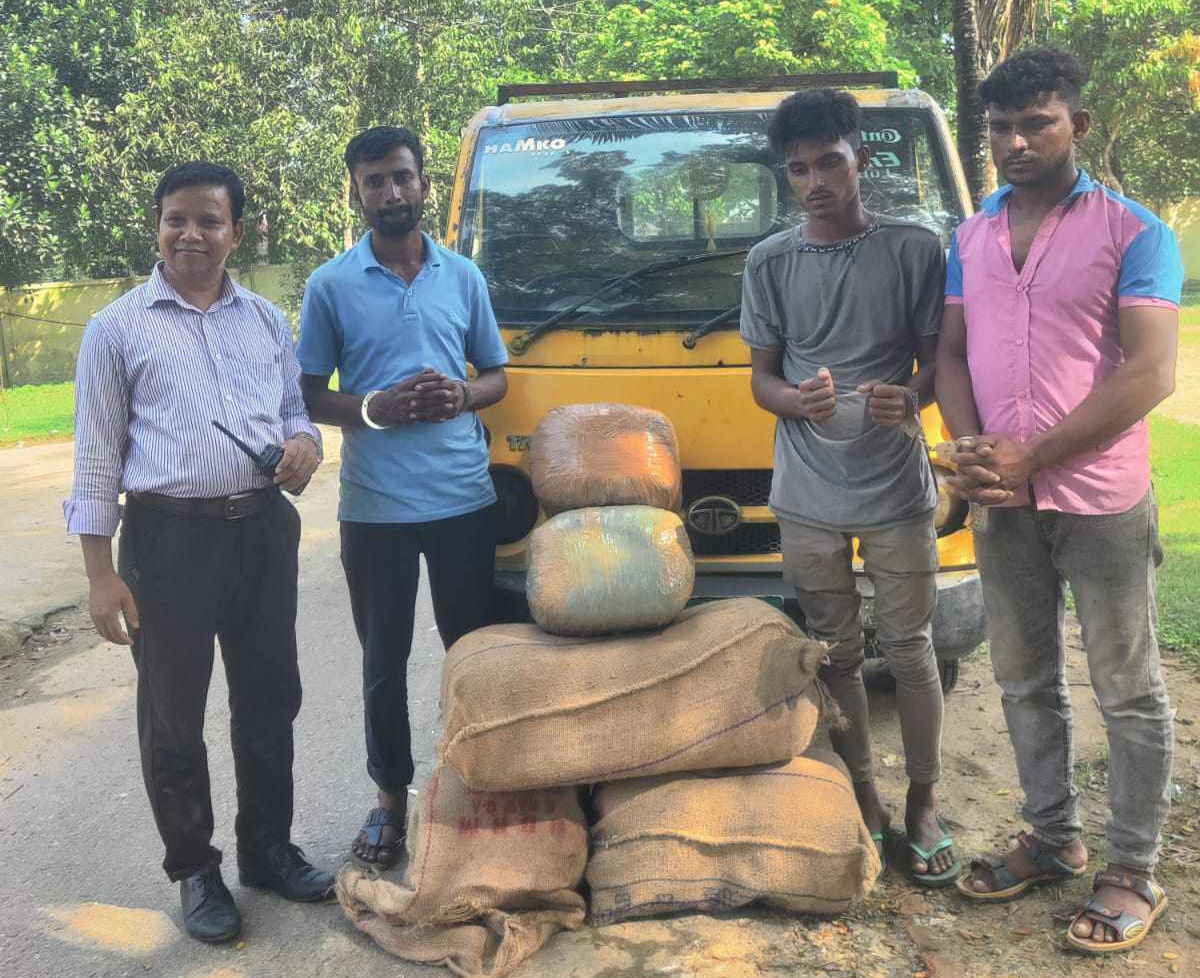 নবীগঞ্জে ৪০ কেজি গাঁজাসহ সিলেটের  ৩ ব্যক্তি গ্রেপ্তার 