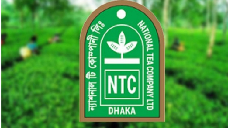 শেয়ারবাজার দাম কমার তালিকায় শীর্ষে ন্যাশনাল টি কোম্পানি