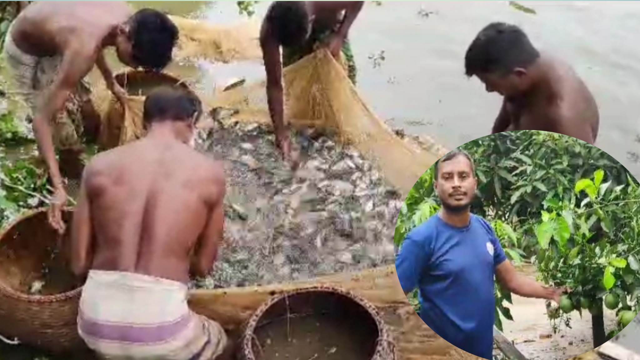প্রবাস ফেরত বিলাল এখন সফল খামারি, বছরে ইনকাম সাত-আট লাখ টাকা