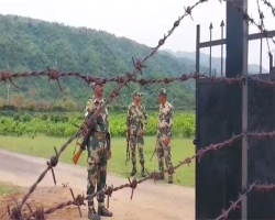 তাহিরপুর সীমান্তে কয়লা আনতে গিয়ে কিশোরের মৃত্যু