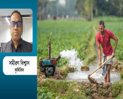 লোডশেডিং ও তাপপ্রবাহ : কৃষিতে বাড়ছে শঙ্কা