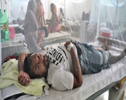 ডেঙ্গুতে এক দিনে ১০ জনের মৃত্যু, হাসপাতালে ভর্তি ২৭৬৪