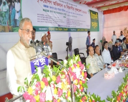 প্রকৃতি ও পরিবেশের ভারসাম্য রক্ষায় বৃক্ষের ভূমিকা অনস্বীকার্য