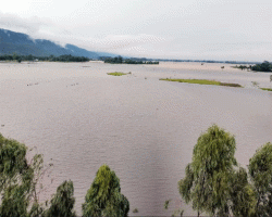 কোম্পানীগঞ্জের নিম্নাঞ্চল প্লাবিত, বাড়ছে আশঙ্কা
