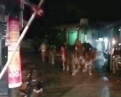 ছাতক-দোয়ারা সীমান্ত চোরাকারবারিদের নিরাপদ রুট