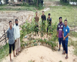 সিলেটে বৃক্ষরোপন কর্মসূচী