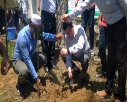 শাবিতে বিলুপ্তপ্রায় আগর বৃক্ষ রোপণের উদ্যোগ