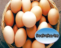 ভারত থেকে চার কোটি ডিম আমদানি হচ্ছে
