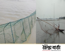 বিলুপ্তির পথে মুক্ত জলাশয়ের দেশী মাছ, পেশা পাল্টাচ্ছে জলেরা 