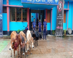 জৈন্তাপুরে বিপুল পরিমাণ ভারতীয় চোরাইমাল ও মাদকসহ আটক ৩