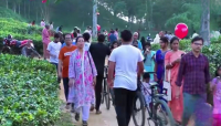 চা-বাগানের সৌন্দর্যে মুগ্ধ ঈদে আসা পর্যটকেরা