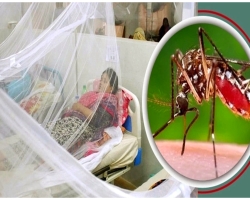 সিলেটে বাড়ছে ডেঙ্গু রোগীর সংখ্যা