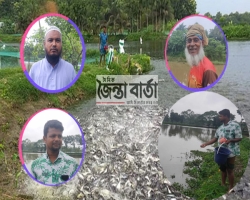 মাছ চাষে সাফল্য, বদলে গেছে ভাগ্য