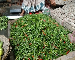 সাগরে ঝোড়ো হাওয়ার শঙ্কায় বন্দরে সতর্কতা