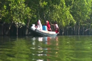 পানির সঙ্গে লড়ছে যেসব শহর