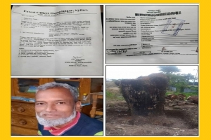 ওসমানীনগরে ভু*য়া ব্যাংক চালানে ইউএনওকে বিভ্রা*ন্তির চেষ্টা ওসমানীনগরে ভু*য়া ব্যাংক চালানে ইউএনওকে বিভ্রা*ন্তির চেষ্টা