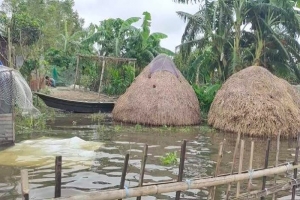আজমিরীগঞ্জে শতাধিক পরিবার পানিবন্দি