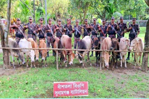 সুনামগঞ্জ সীমান্তে অভিযান, যা যা আ ট ক করলো বি জি বি