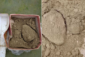 কন্যাসন্তান হওয়ায় শ্বশুরবাড়িতে মিষ্টির প্যাকেটে দিলেন মাটি