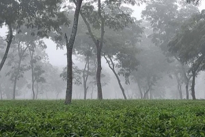 দেশের সর্বনিম্ন তাপমাত্রা আজ শ্রীমঙ্গলে