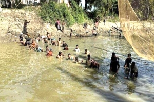 জগন্নাথপুরে পলো বাওয়া উৎসব