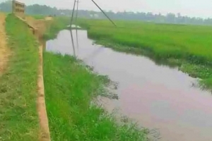 বাড়তি খরচে ক্ষতিগ্রস্ত আজমিরীগঞ্জের কৃষক