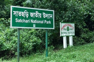 সাতছড়ি বন থেকে পি'স্ত'ল, ম্যা'গা'জিন ও গু'লি উ'দ্ধার সাতছড়ি বন থেকে পি'স্ত'ল, ম্যা'গা'জিন ও গু'লি উ'দ্ধার