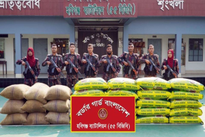 হবিগঞ্জে ৬৮ লাখ টাকার ভা*রতীয় পণ্য জ*ব্দ