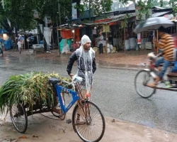 টানা বৃষ্টিতে দিশেহারা নিম্ন আয়ের মানুষ 