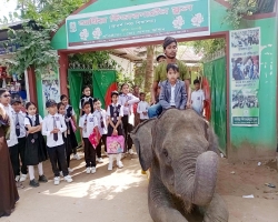 ভাগনী-ভাগিনার শেষ পরীক্ষার আনন্দে স্কুলে হাতি নিয়ে হাজির মামা!
