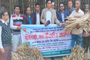 মাধবপুরে ৩০ জন কৃষকের মাঝে আখ চাষে কৃষি প্রণোদনা বিতরণ