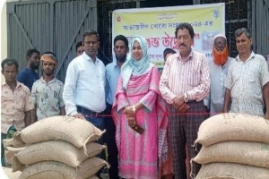 লাখাইয়ে চলতি বোরো মৌসুমে সরকারিভাবে ধান চাল সংগ্রহ উদ্বোধন