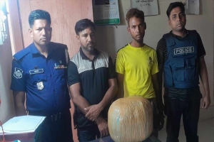 মাধবপুরে মরিচের ব স্তা থেকে  গাঁ*জা উ দ্ধা র, গ্রে ফ তা র  ২