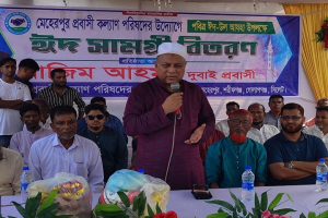 দেশের উন্নয়নে প্রবাসীদের অবদান অসামান্য : এমপি এমরান  চৌধুরী