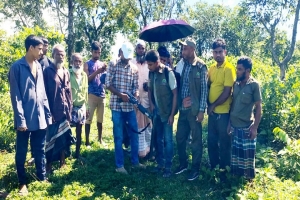 জৈন্তাপুরে ‘বাঘ আ*তঙ্ক’, নি*খোঁজ তিন গরুর ম*রদেহ উদ্ধার