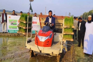 জুড়ীতে বোরো সমলয়ের চারা রোপনের উদ্বোধন  