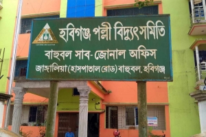 বাহুবলে বৈদ্যুতিক তার সংকটে সংযোগ পাচ্ছেন না হাজারো গ্রাহক
