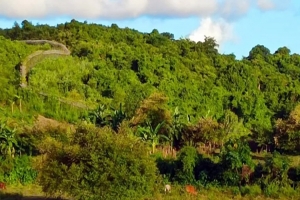 তুমব্রু সীমান্তে ফের গোলাগুলি, সতর্ক বিজিবি