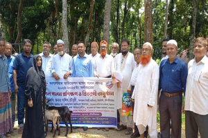 বড়লেখায় জালালাবাদ ফাউন্ডেশনের উদ্যোগে ছাগল পালন প্রশিক্ষণ ও বিতরণ