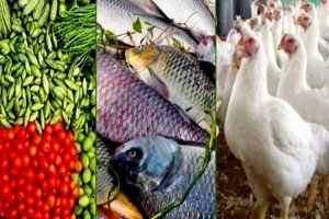 সবজির দাম কিছুটা কমলেও মাছ-মুরগির বাজার চড়া