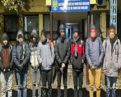 রোমানিয়া থেকে পালিয়ে যাওয়ার সময় হাঙ্গেরি সীমান্তে ৪৩ বাংলাদেশী আটক