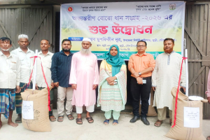 জুড়ীতে অভ্যন্তরীণ বোরো ধান সংগ্রহের উদ্বোধন