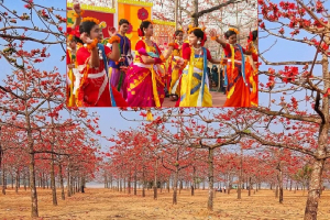 তাহিরপুর শিমুলবাগানে বসন্ত উৎসব, লাল ফুলে মুগ্ধ দর্শনার্থীরা