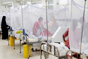 ডেঙ্গুতে আরও ১ জনের মৃ ত্যু, ২৪ ঘণ্টায় আক্রান্ত ৩৮৬