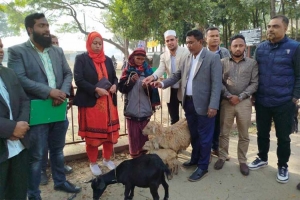 জাতীয় সমাজসেবা দিবসে দোয়ারাবাজার উপজেলা সমাজসেবা কার্যালয়ের নানা আয়োজন