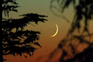 চাঁদ দেখা গেছে, সোমবার ঈদ