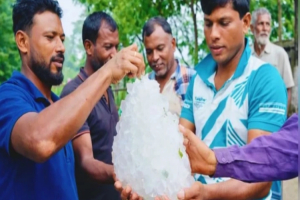 ঝিনাইদহে আকাশ থেকে পড়ল বিশাল শিলা? কৃষকের দাবি ঘিরে প্রশ্ন