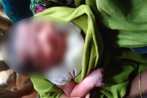 ভুট্টা ক্ষেতে মিললো জীবিত নবজাতক