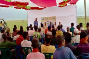 সুনামগঞ্জের হাওরে ৯ জাতের ধানের বাম্পার ফলনে কৃষকের মুখে হাসি